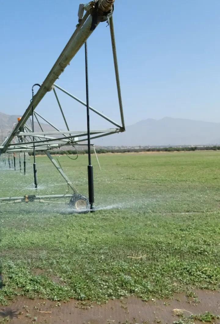 Pivote de riego por aspersión regando un cultivo